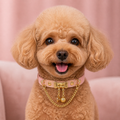 Peach Bone Dog Collar with Gold-Tone Clasp and Draped Chain