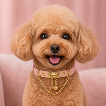 Peach Bone Dog Collar with Gold-Tone Clasp and Draped Chain