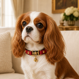 Crimson Regent Dog Collar with Gold Studs and Bell Charm