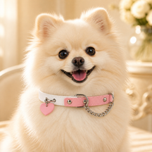 Peach Heart Dog Collar with Pink-and-White Design and Silver Chain