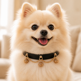 Black and Gold Dog Collar with Triple Filigree Orbs and Draped Chains