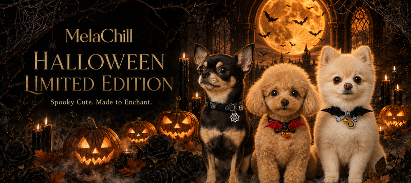 MelaChill Halloween Limited Edition. Spooky Cute. Made to Enchant. Three dogs wearing Halloween collars beside glowing pumpkins and an orange moon.