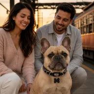 French Bulldog wearing a MelaChill pet collar with its family