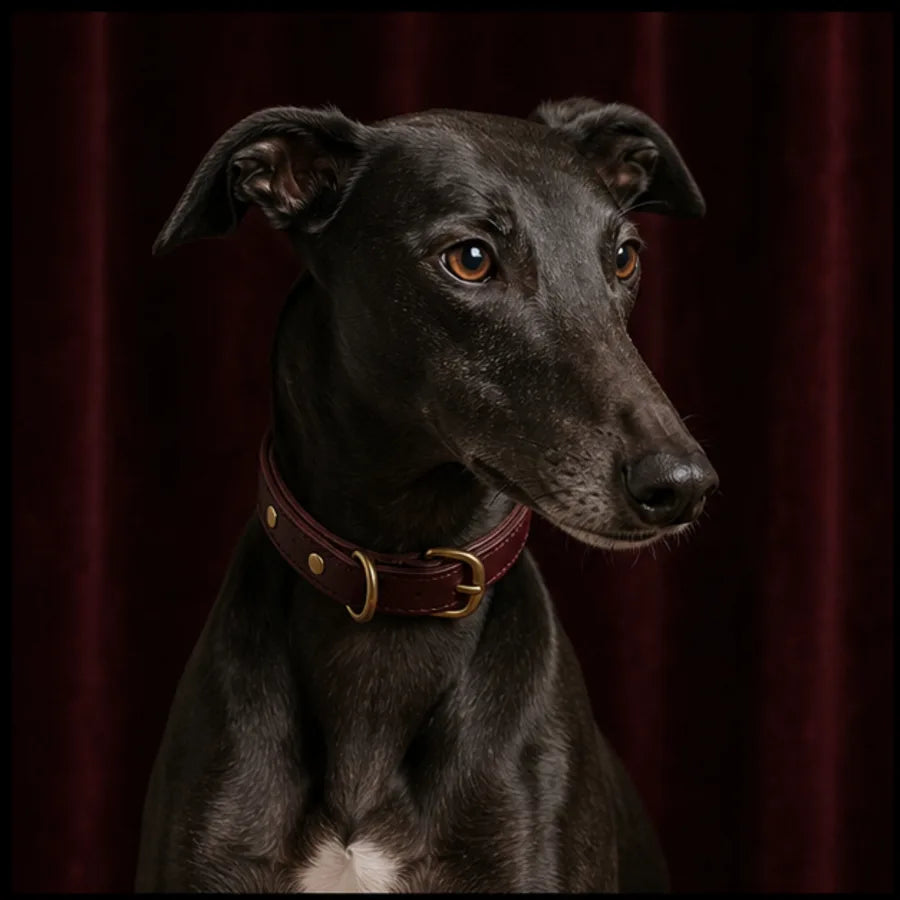 Dog wearing a comfortable MelaChill collar